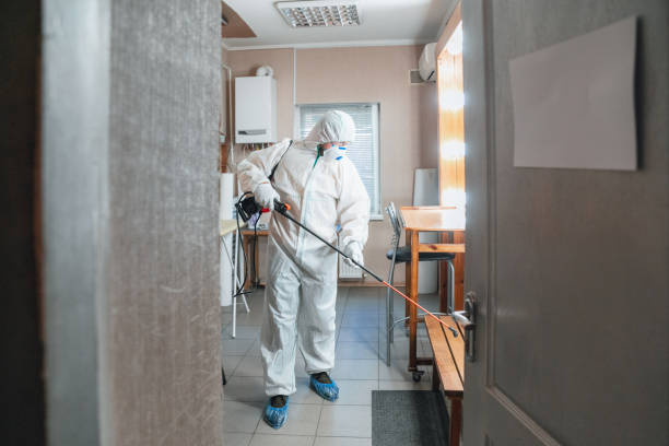 Best Commercial Mold Inspection  in North Kingsville, OH